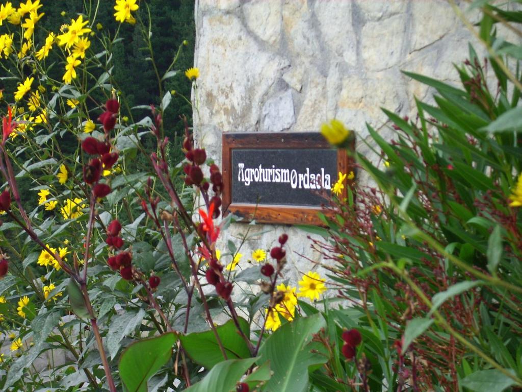 Agroturismo Ordaola Alonsotegi ภายนอก รูปภาพ